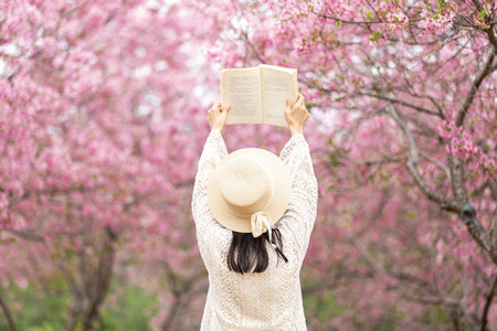 西安外國語大學MPAcc面試時間 西安外國語大學MPAcc面試時間