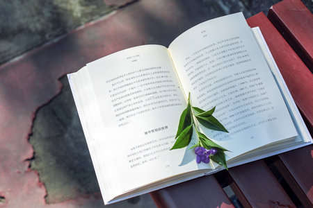 暨南大學(xué)MPA面試時(shí)間 暨南大學(xué)MPA面試時(shí)間