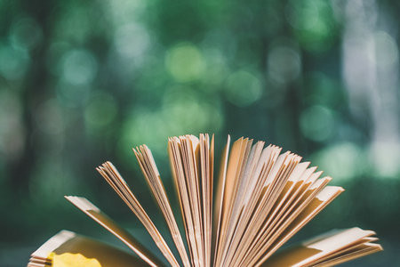 國民經濟學在職博士 國民經濟學在職博士