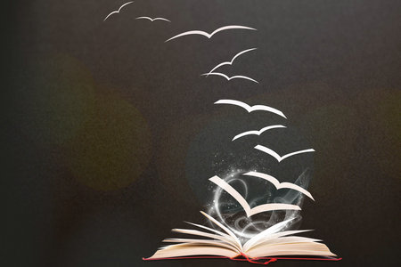 政法大學在哪些地區開課 政法大學在哪些地區開課