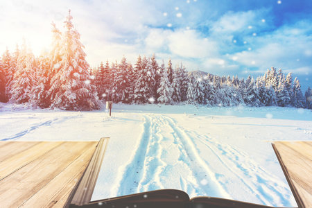 哲學(xué)國際博士