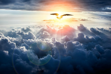 西南交通大學MPA 西南交通大學MPA