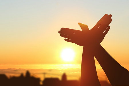 陜西同等學力 陜西同等學力