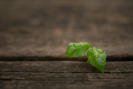 南昌大學同等學力考試 南昌大學同等學力考試