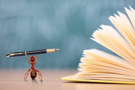 上海對外經貿大學非全日制研究生 上海對外經貿大學非全日制研究生