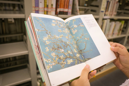 國際關系在職研究生報考條件