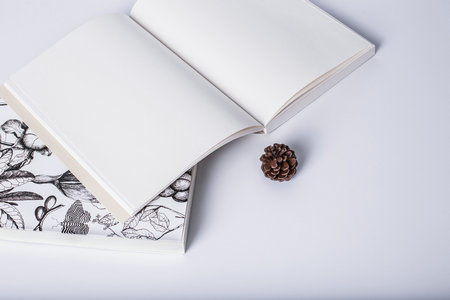 南開大學(xué)MPAcc專業(yè)學(xué)費(fèi)情況 南開大學(xué)MPAcc專業(yè)學(xué)費(fèi)情況