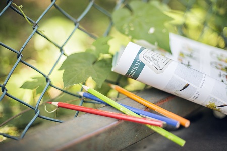 中國政法大學專業碩士 中國政法大學專業碩士