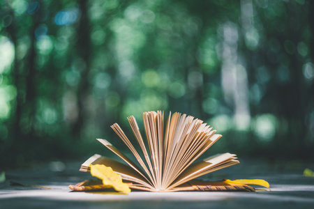 山東專業碩士報考選擇 山東專業碩士報考選擇