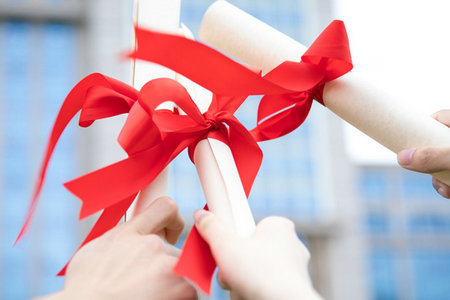 南錫高等商學院國際碩士報考材料 南錫高等商學院國際碩士報考材料