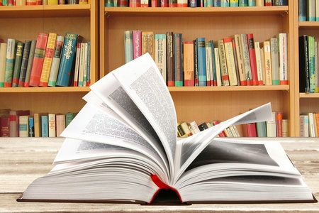 政治學理論同等學力學歷 政治學理論同等學力學歷