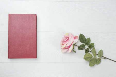 報(bào)考世界經(jīng)濟(jì)同等學(xué)力什么時(shí)候可以查詢申碩考試成績(jī)? 報(bào)考世界經(jīng)濟(jì)同等學(xué)力什么時(shí)候可以查詢申碩考試成績(jī)?