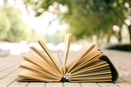 西南財經大學MPA 西南財經大學MPA