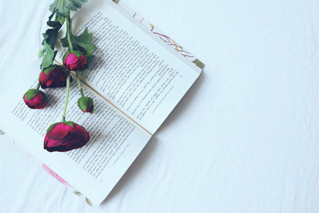 韓國(guó)慶熙大學(xué)國(guó)際碩士 韓國(guó)慶熙大學(xué)國(guó)際碩士