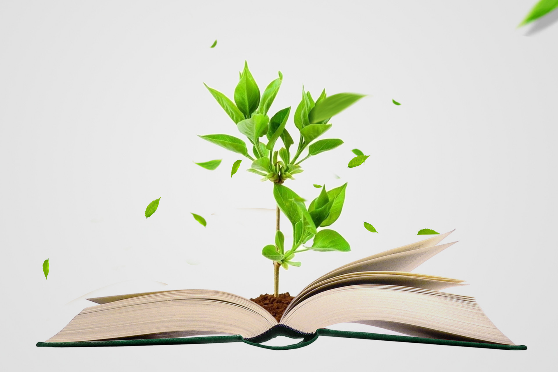 西北大學(xué)專業(yè)碩士 西北大學(xué)專業(yè)碩士