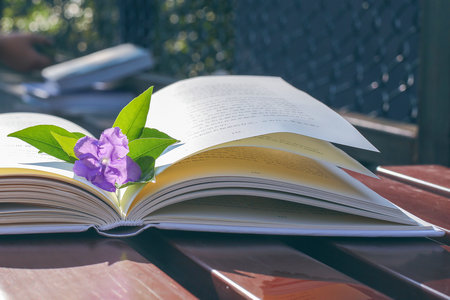 江西財(cái)經(jīng)大學(xué)專(zhuān)業(yè)碩士 江西財(cái)經(jīng)大學(xué)專(zhuān)業(yè)碩士