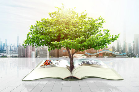 武漢工程大學(xué)MBA