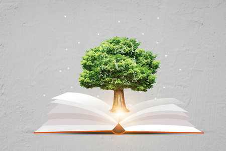 中國人民大學MPA 中國人民大學MPA