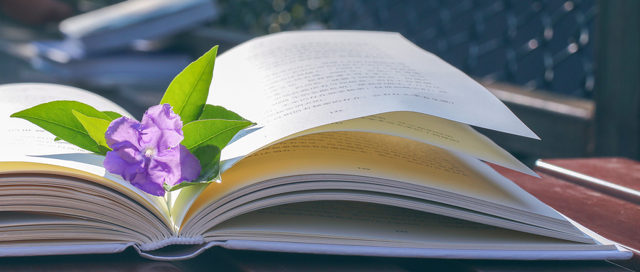 武漢大學(xué)MPAcc培養(yǎng)目標(biāo)及項(xiàng)目特色