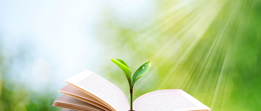 南京林業大學MPAcc 南京林業大學MPAcc