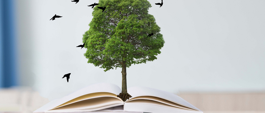 上海理工大學MBA 上海理工大學MBA