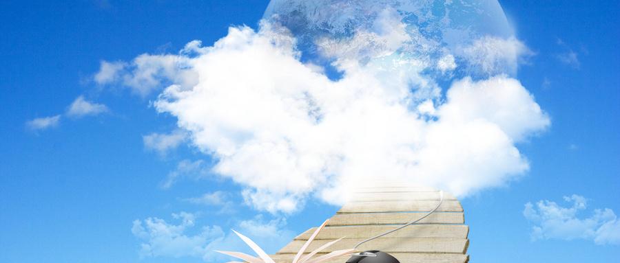 瑞士中央管理大學國際碩士證書