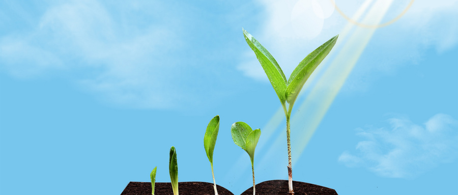 南京農(nóng)業(yè)大學MPAcc學制學費 南京農(nóng)業(yè)大學MPAcc學制學費