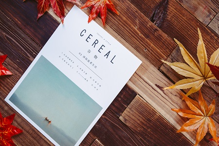 北京外國(guó)語(yǔ)大學(xué)MPAcc畢業(yè)后可以獲得哪些證書(shū) 北京外國(guó)語(yǔ)大學(xué)MPAcc畢業(yè)后可以獲得哪些證書(shū)