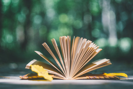 在職考研考試時間 在職考研考試時間