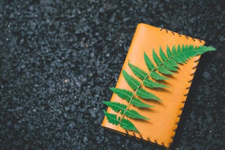 新疆農業大學MPA報考條件 新疆農業大學MPA報考條件