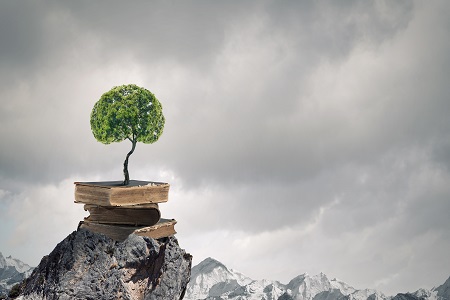 中國社會科學院研究生院MBA專業可以獲得哪些證書? 中國社會科學院研究生院MBA專業可以獲得哪些證書?