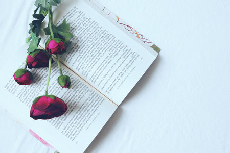 三峽大學MBA報考流程 三峽大學MBA報考流程