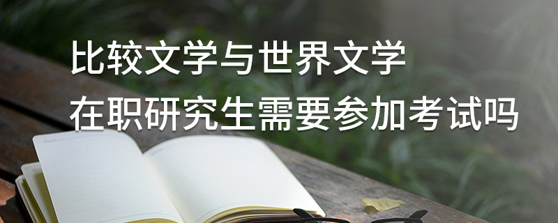 比較文學與世界文學在職研究生需要參加考試嗎