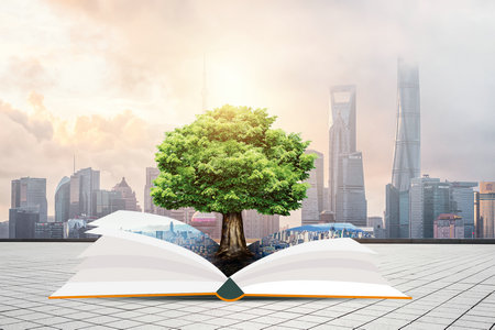 中國政法大學(xué)在職研究生招生類型 中國政法大學(xué)在職研究生招生類型