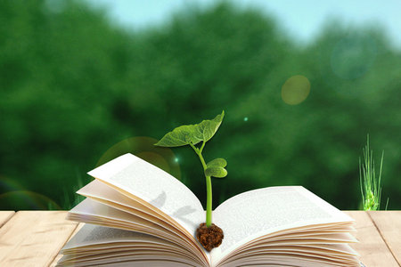 中南林業科技大學在職研究生報考時間 中南林業科技大學在職研究生報考時間