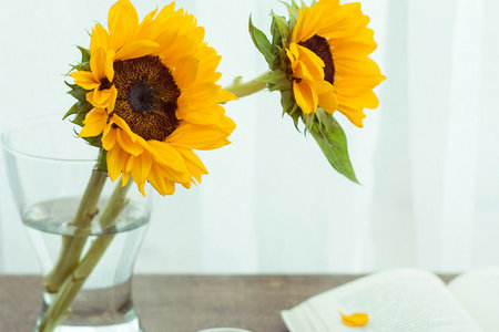 西南石油大學非全日制研究生成績查詢入口 西南石油大學非全日制研究生成績查詢入口