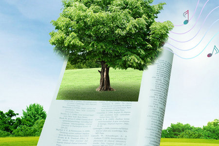 重慶師范大學非全日制研究生成績查詢入口 重慶師范大學非全日制研究生成績查詢入口