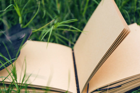 河南師范大學(xué)在職研究生報(bào)名入口