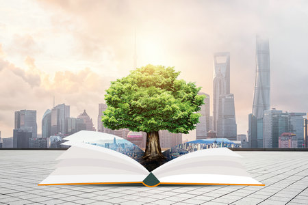 中南林業(yè)科技大學在職研究生報名入口