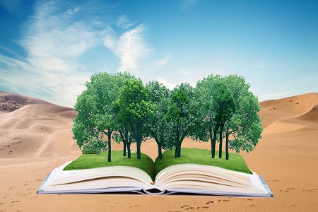 中國人民大學MPAcc畢業證書 中國人民大學MPAcc畢業證書