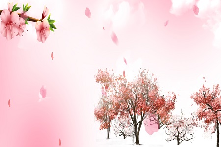 北京師范大學高級研修班有哪些課程? 北京師范大學高級研修班有哪些課程?