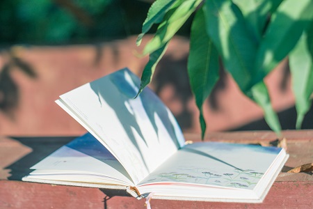 中國政法大學MBA培養方式有哪些? 中國政法大學MBA培養方式有哪些?