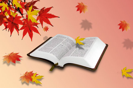 華東師范大學(xué)專業(yè)碩士落戶 華東師范大學(xué)專業(yè)碩士落戶