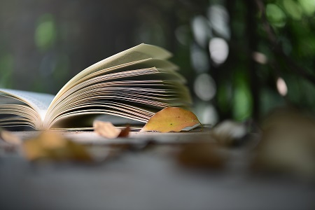 中國社會科學院研究生院非全日制研究生MBA專業可以異地上課嗎 中國社會科學院研究生院非全日制研究生MBA專業可以異地上課嗎