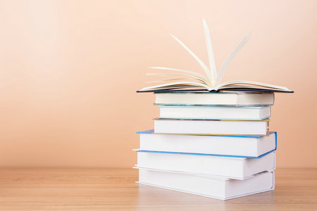 內蒙古財經大學MBA 內蒙古財經大學MBA