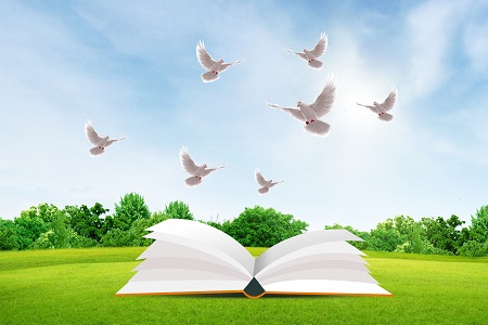 你知道上海大學在職研究生都有哪些招生類型嗎? 你知道上海大學在職研究生都有哪些招生類型嗎?