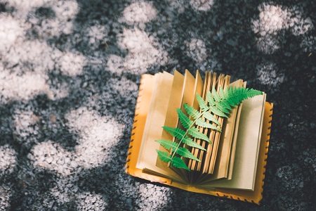 西南大學MF畢業可以獲得哪些證書? 西南大學MF畢業可以獲得哪些證書?