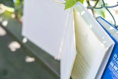 一月聯考考試時間 一月聯考考試時間