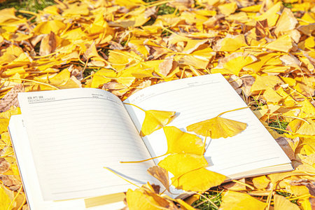 在職博士復試時間 在職博士復試時間