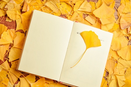 上海財經大學經濟法學在職研究生值得就讀嗎？